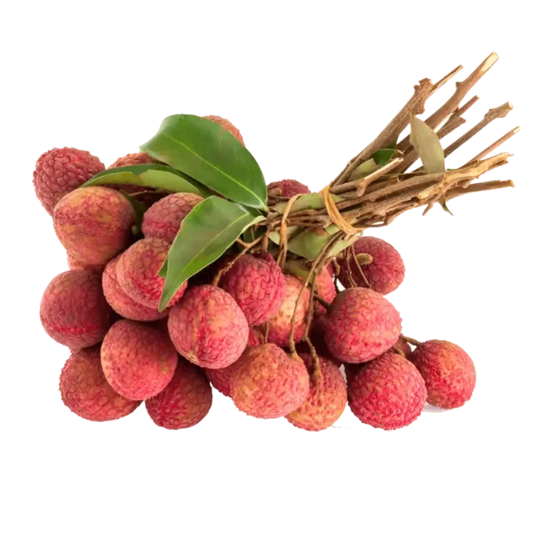 Litchi <br><strong>লিচু</strong>