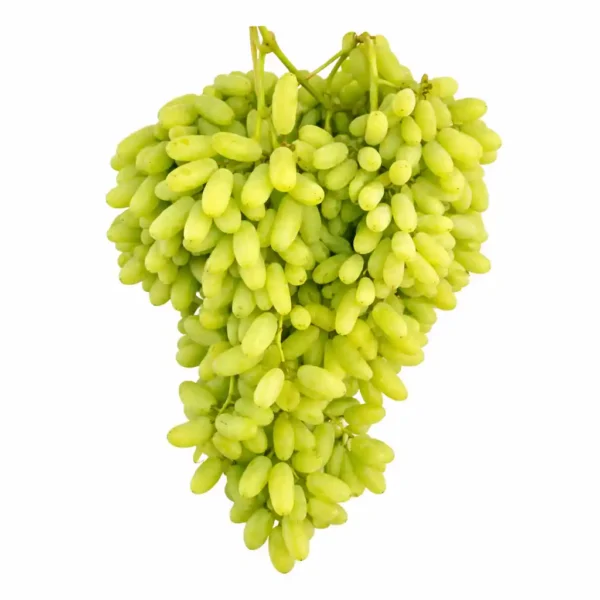 Grapes <br><strong>আঙ্গুর</strong>