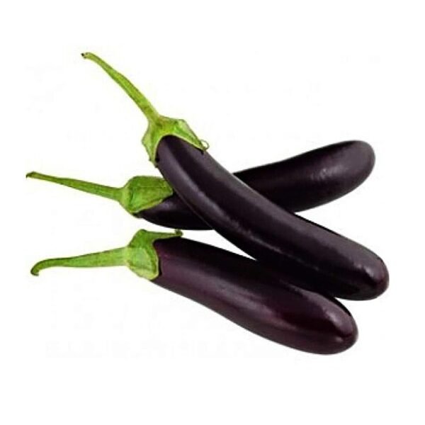 Long Black Brinjal <br><strong>কালো বেগুন (লম্বা)</strong>
