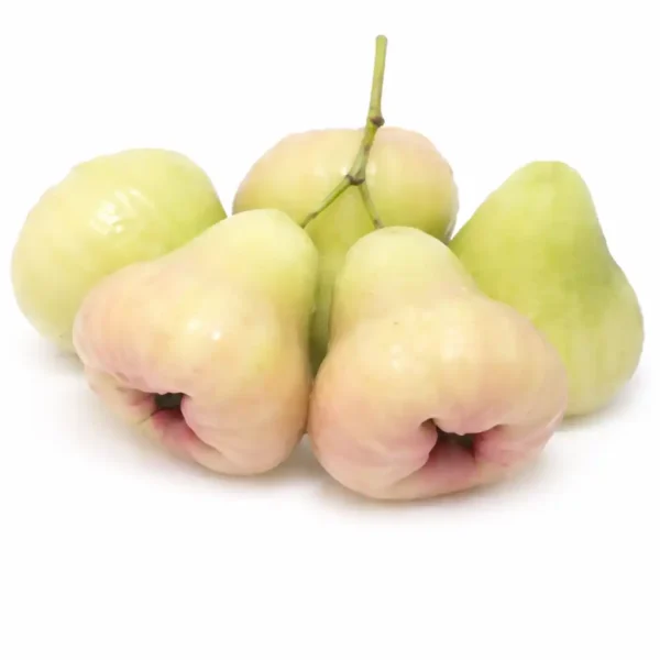 Wax Apple (Jamrul) <br><strong>জামরুল</strong>