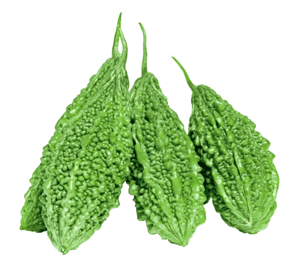 Bitter Gourd (Korola)<br> <strong>করলা</strong>