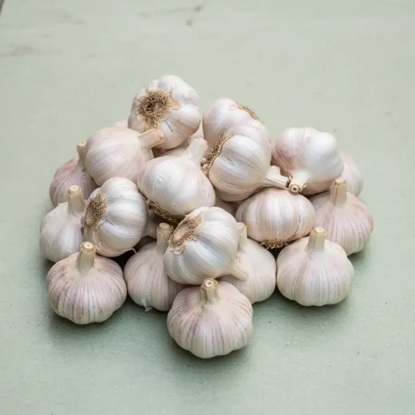 Garlic <br><strong> রসুন</strong>