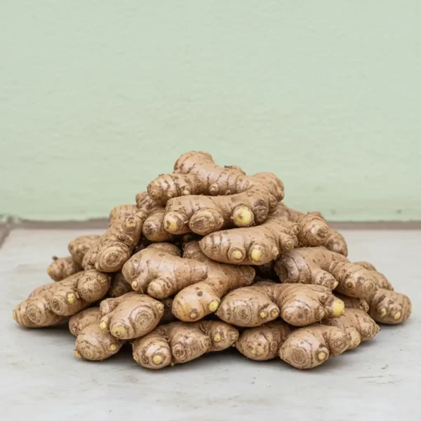 Ginger <br><strong> আদা</strong>