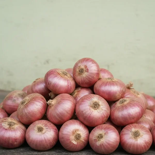 Onion <br> <strong>পেঁয়াজ</strong>