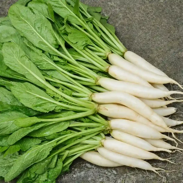 Radish Leaves <br><strong>মূলো শাক</strong>